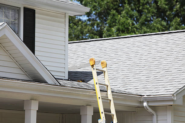 Best Historical Building Siding Restoration  in Salem, IN